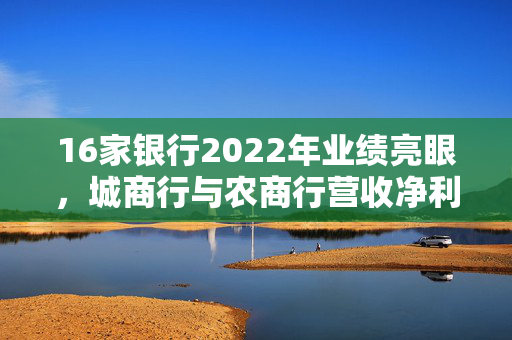 16家银行2022年业绩亮眼，城商行与农商行营收净利双增长
