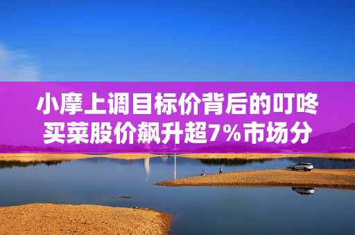 小摩上调目标价背后的叮咚买菜股价飙升超7%市场分析