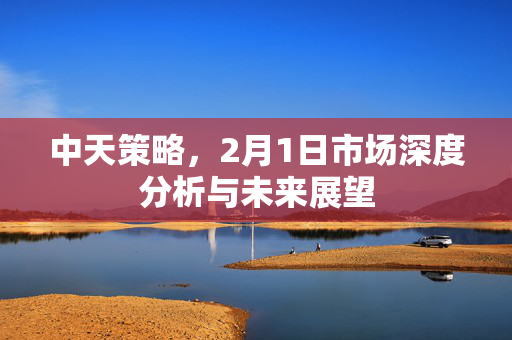 中天策略，2月1日市场深度分析与未来展望