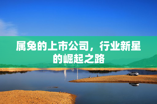 属兔的上市公司，行业新星的崛起之路