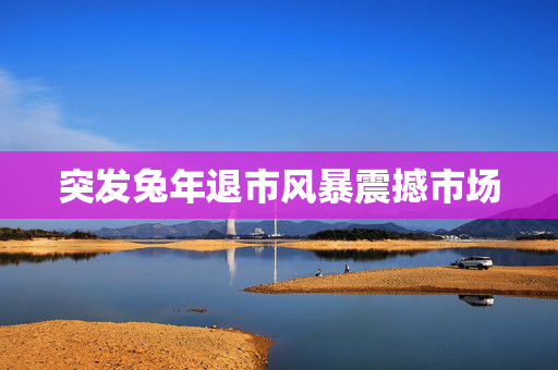 突发兔年退市风暴震撼市场