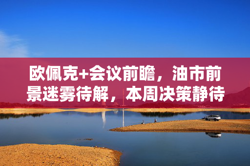 欧佩克+会议前瞻，油市前景迷雾待解，本周决策静待揭晓
