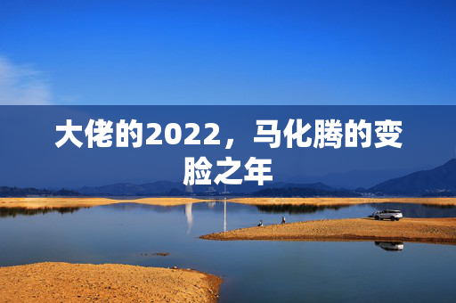 大佬的2022，马化腾的变脸之年