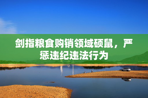 剑指粮食购销领域硕鼠，严惩违纪违法行为