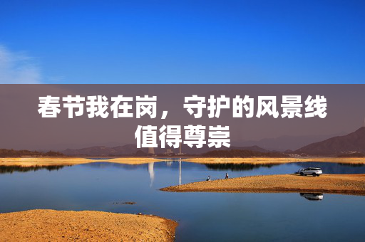 春节我在岗，守护的风景线值得尊崇