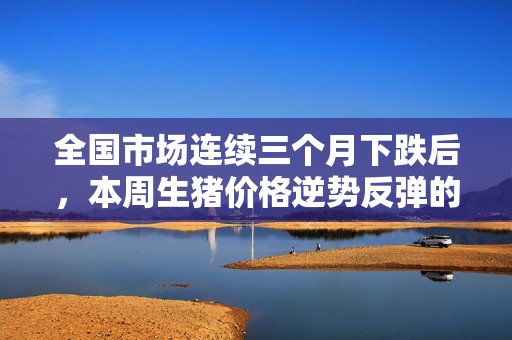 全国市场连续三个月下跌后，本周生猪价格逆势反弹的市场分析