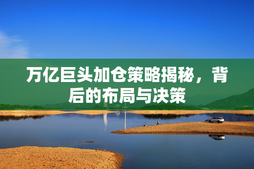 万亿巨头加仓策略揭秘，背后的布局与决策