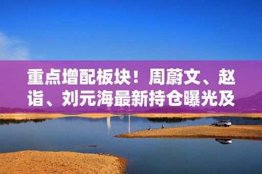 重点增配板块！周蔚文、赵诣、刘元海最新持仓曝光及投资策略揭秘