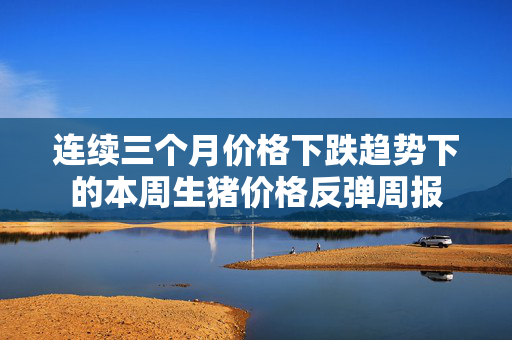 连续三个月价格下跌趋势下的本周生猪价格反弹周报