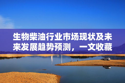 生物柴油行业市场现状及未来发展趋势预测，一文收藏！