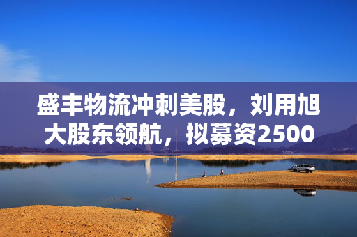 盛丰物流冲刺美股，刘用旭大股东领航，拟募资2500万美元的融资计划