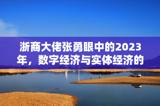 浙商大佬张勇眼中的2023年，数字经济与实体经济的融合机遇