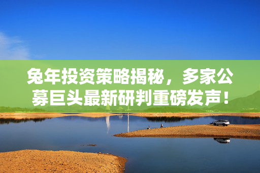 兔年投资策略揭秘，多家公募巨头最新研判重磅发声！