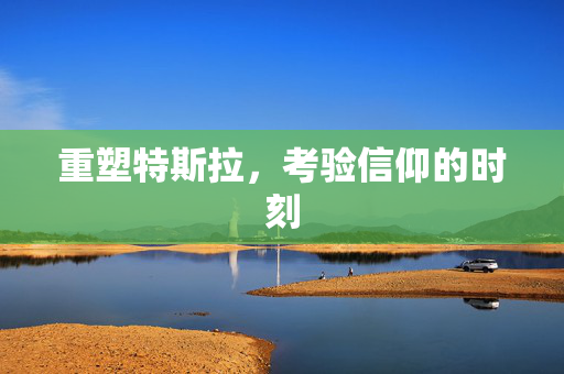 重塑特斯拉，考验信仰的时刻