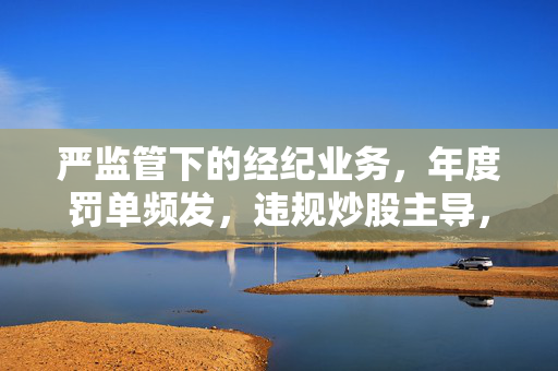 严监管下的经纪业务，年度罚单频发，违规炒股主导，内控与营销双重挑战的考验