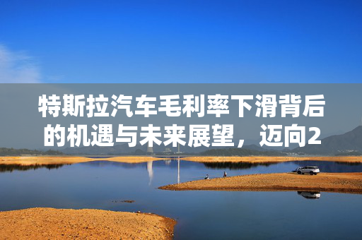 特斯拉汽车毛利率下滑背后的机遇与未来展望，迈向2023年预计销量200万辆的挑战与机遇