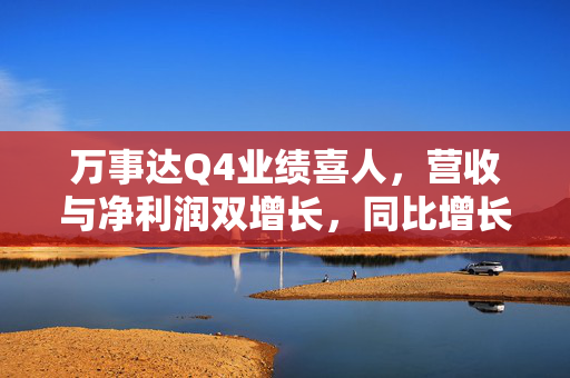 万事达Q4业绩喜人，营收与净利润双增长，同比增长达12%和6%