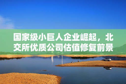 国家级小巨人企业崛起，北交所优质公司估值修复前景展望