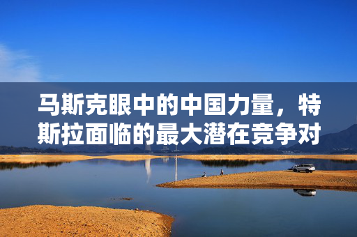 马斯克眼中的中国力量，特斯拉面临的最大潜在竞争对手崛起
