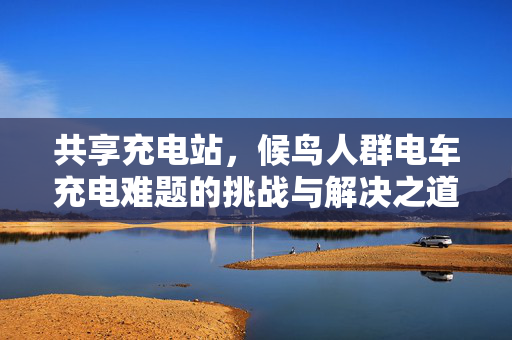 共享充电站，候鸟人群电车充电难题的挑战与解决之道