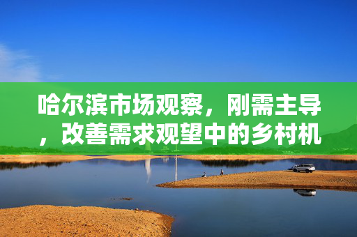 哈尔滨市场观察，刚需主导，改善需求观望中的乡村机遇