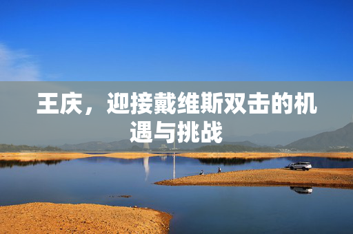 王庆，迎接戴维斯双击的机遇与挑战
