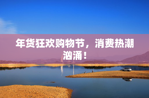 年货狂欢购物节，消费热潮汹涌！