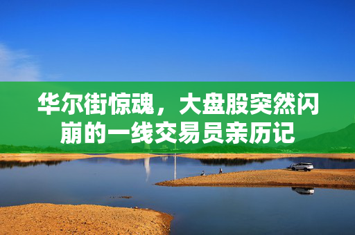 华尔街惊魂，大盘股突然闪崩的一线交易员亲历记