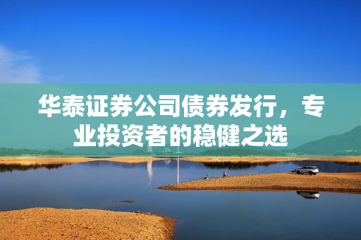 华泰证券公司债券发行，专业投资者的稳健之选
