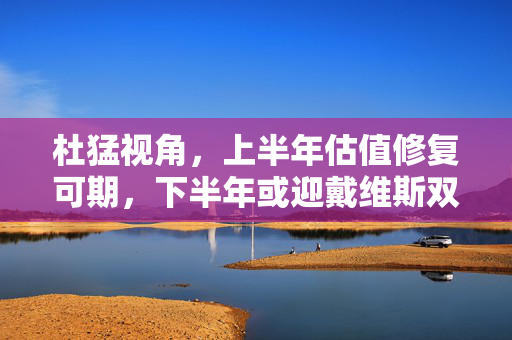 杜猛视角，上半年估值修复可期，下半年或迎戴维斯双击行情