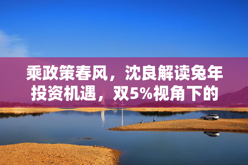 乘政策春风，沈良解读兔年投资机遇，双5%视角下的安联投资策略