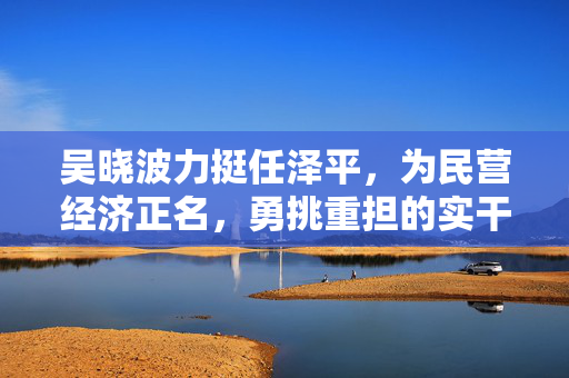 吴晓波力挺任泽平，为民营经济正名，勇挑重担的实干家