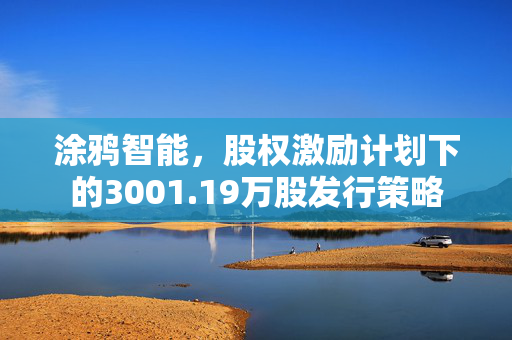 涂鸦智能，股权激励计划下的3001.19万股发行策略