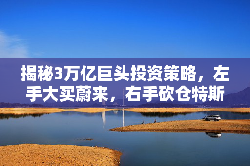 揭秘3万亿巨头投资策略，左手大买蔚来，右手砍仓特斯拉，算盘背后有何玄机？