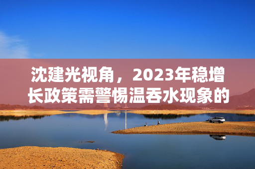 沈建光视角，2023年稳增长政策需警惕温吞水现象的挑战