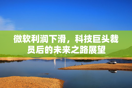 微软利润下滑，科技巨头裁员后的未来之路展望