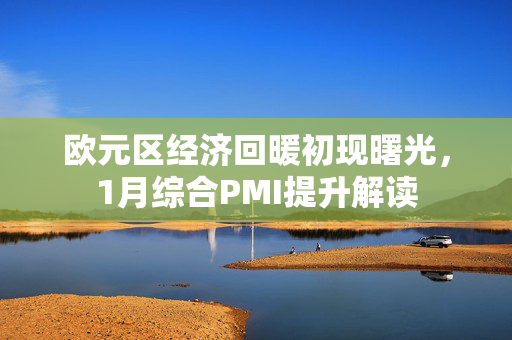 欧元区经济回暖初现曙光，1月综合PMI提升解读