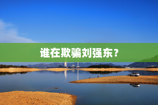 谁在欺骗刘强东？
