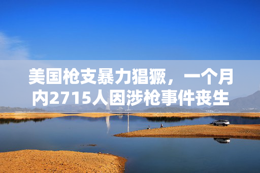 美国枪支暴力猖獗，一个月内2715人因涉枪事件丧生