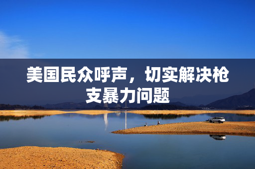 美国民众呼声，切实解决枪支暴力问题