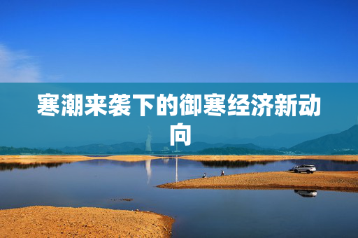 寒潮来袭下的御寒经济新动向