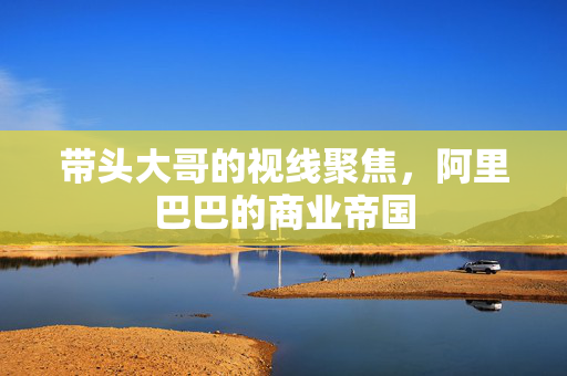 带头大哥的视线聚焦，阿里巴巴的商业帝国