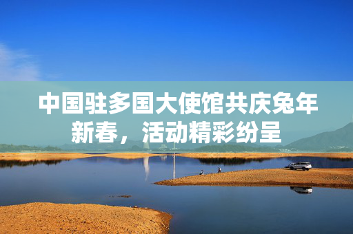 中国驻多国大使馆共庆兔年新春，活动精彩纷呈
