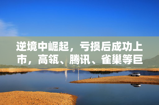 逆境中崛起，亏损后成功上市，高瓴、腾讯、雀巢等巨头争相入局