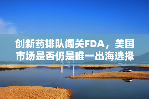 创新药排队闯关FDA，美国市场是否仍是唯一出海选择？