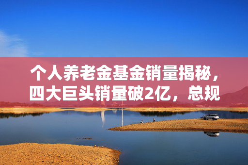 个人养老金基金销量揭秘，四大巨头销量破2亿，总规模已达20亿