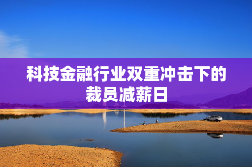 科技金融行业双重冲击下的裁员减薪日