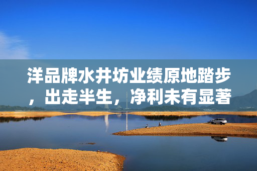 洋品牌水井坊业绩原地踏步，出走半生，净利未有显著增长？