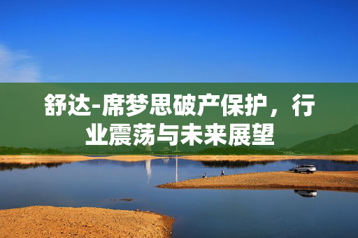 舒达-席梦思破产保护，行业震荡与未来展望