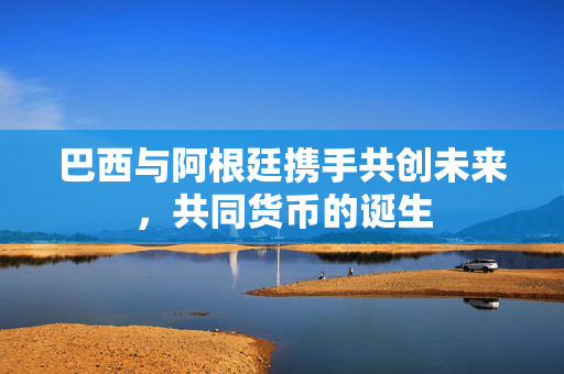 巴西与阿根廷携手共创未来，共同货币的诞生